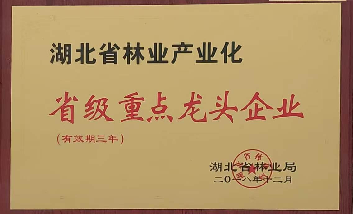 省林業(yè)產(chǎn)業(yè)化重點龍頭企業(yè)（2018）